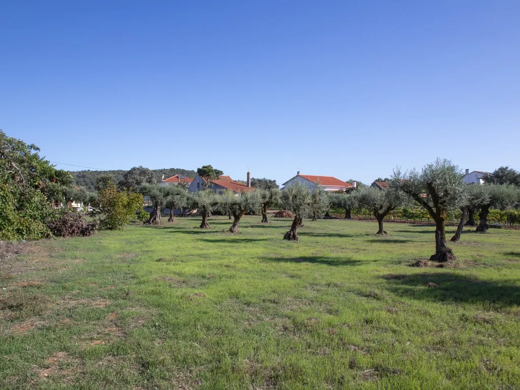 Duas moradias em Avecasta Ferreira do Zêzere - Image 24