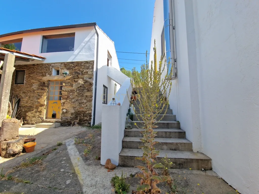 Encantadora propriedade rural | Oportunidade única de investimento - Olalhas, Tomar - Image 35