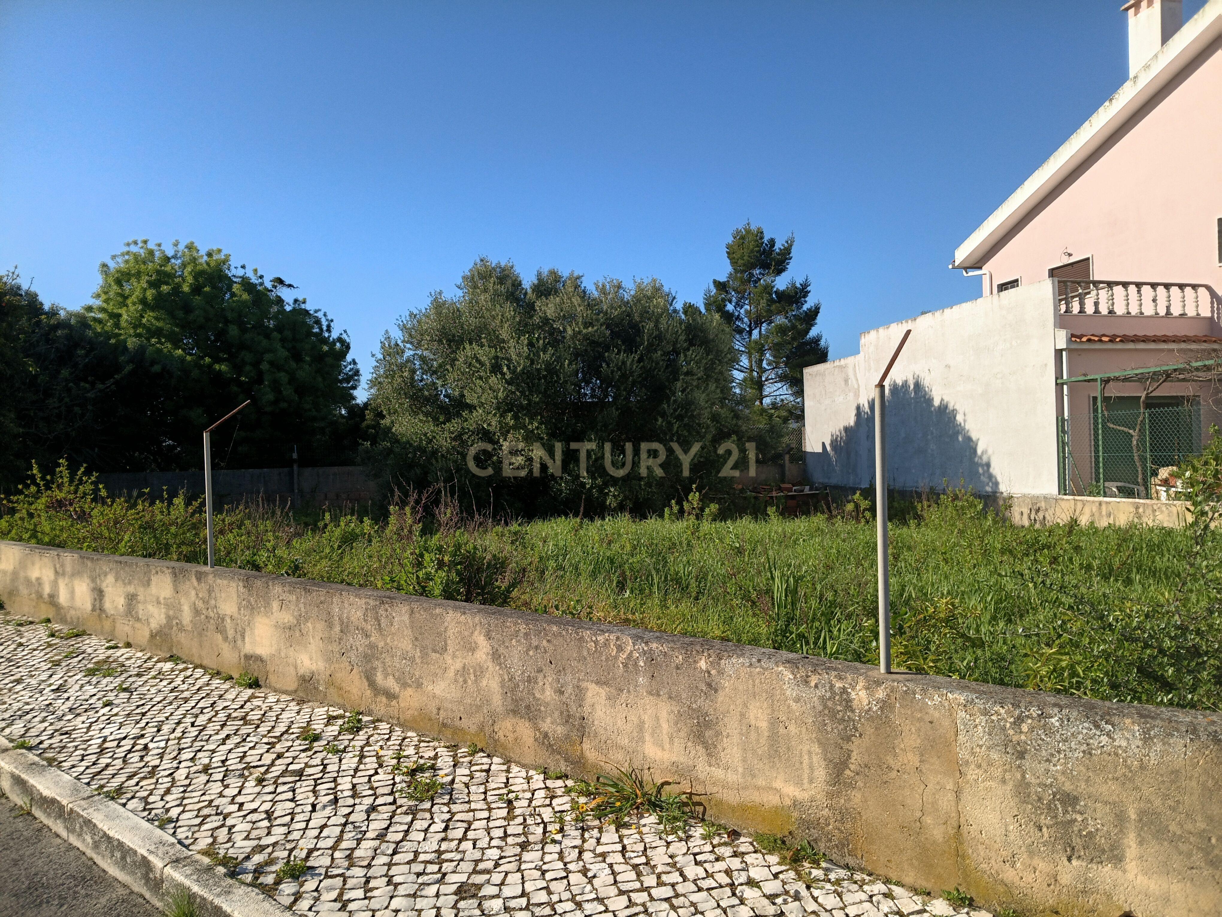 Fotografia 6 de Excelente oportunidade de investimento com 350m2