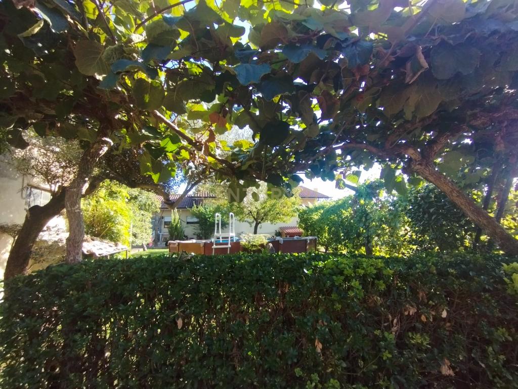 Grande moradia térrea, em Santo Tirso com área de lazer, anexo, jardim e terreno agrícola, Porto - Image 22