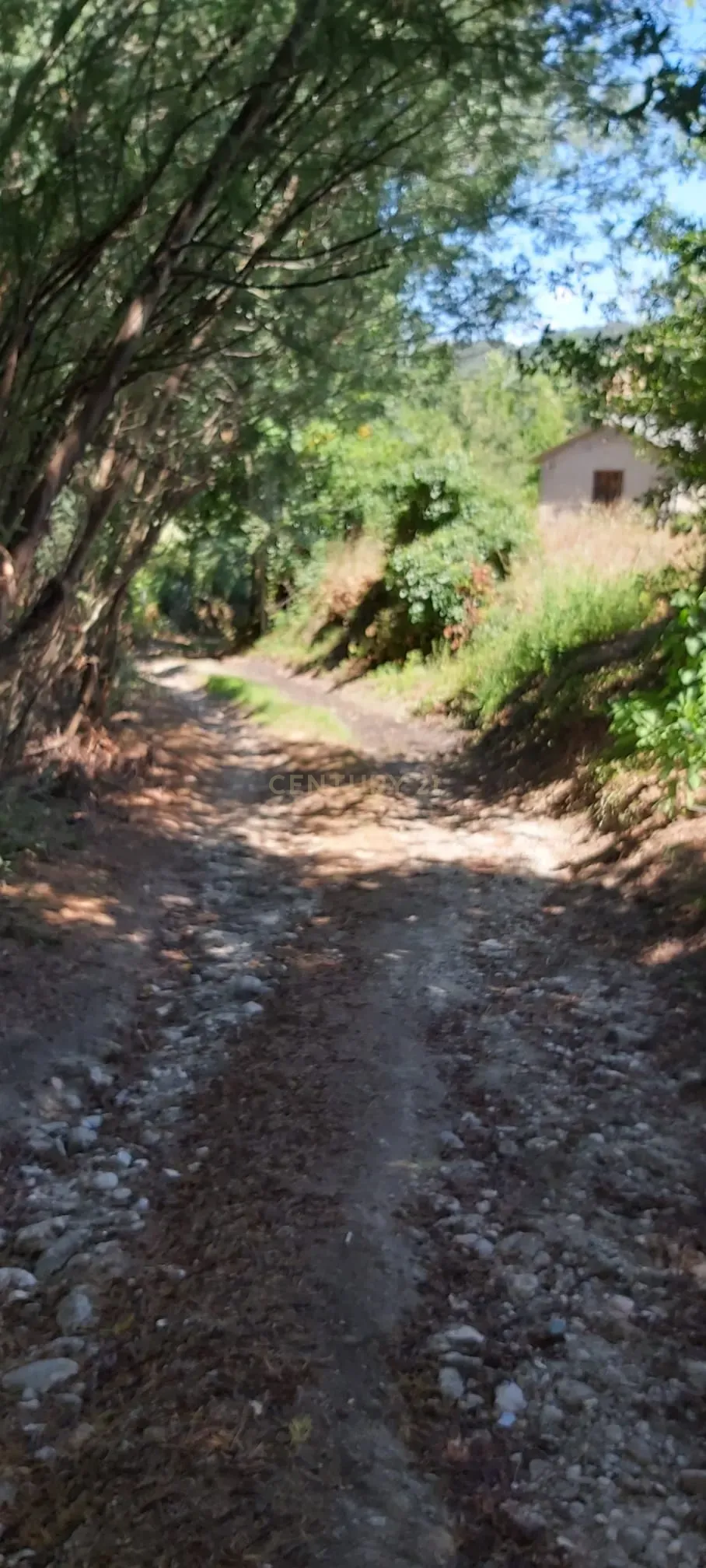 Quintinha próxima da Barragem de Fagilde, Rio Dão - Image 7