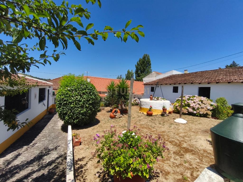 Moradia T3 com quintal e poço em Aldeia Gavinha uma mini quinta - Image 4