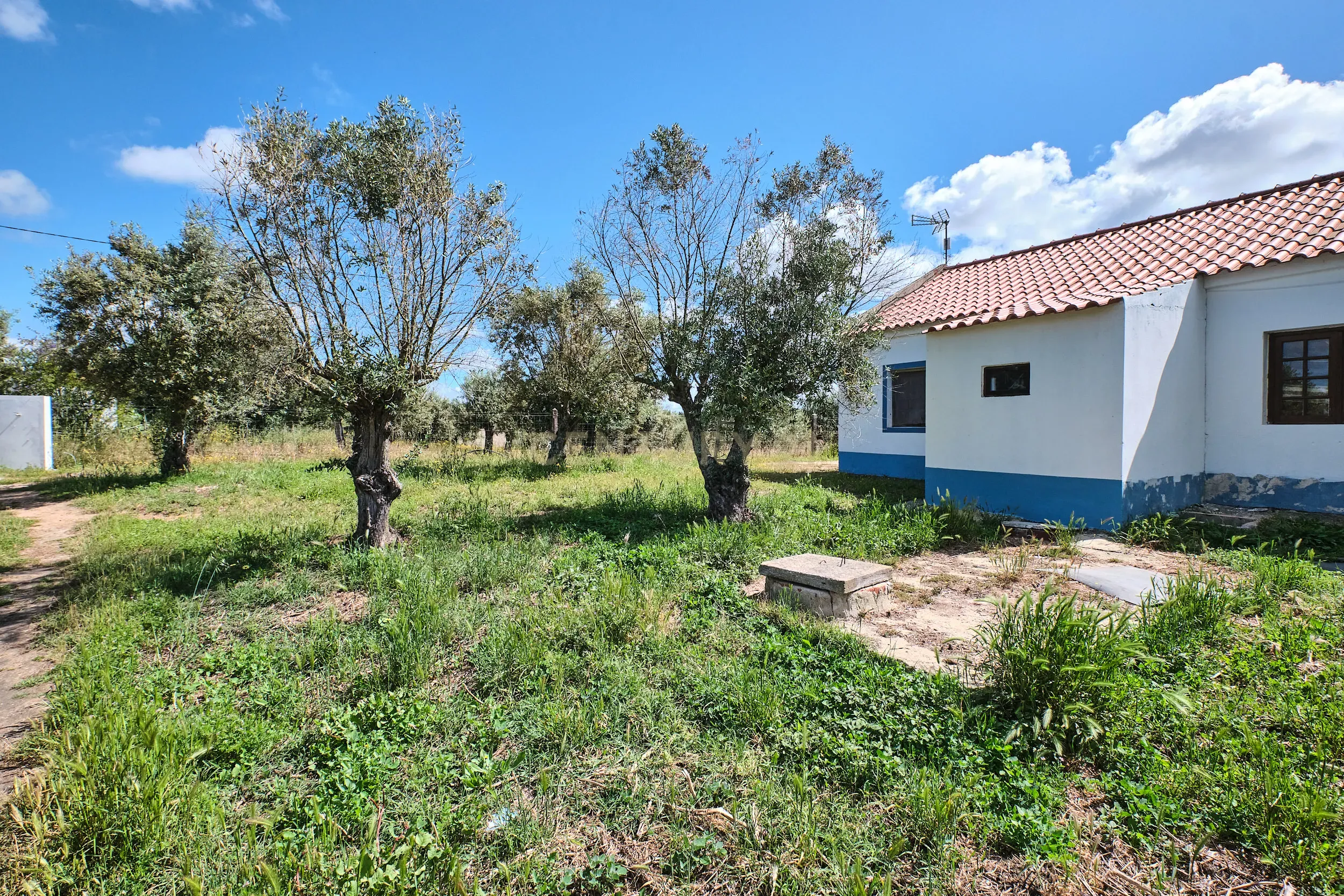 Viva o autêntico Alentejo – Seu refúgio em Ermidas do Sado - Cova do Gato espera por si - Image 23