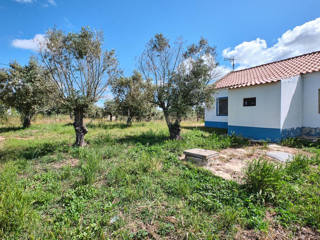Viva o autêntico Alentejo – Seu refúgio em Ermidas do Sado - Cova do Gato espera por si - Image 23