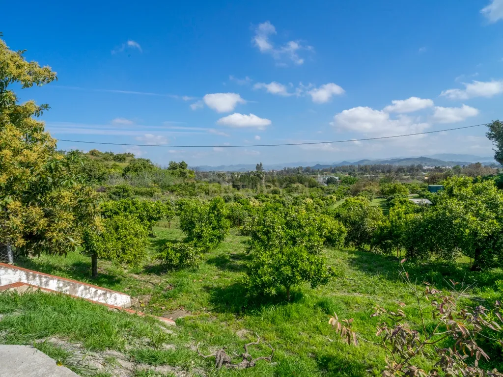 Propriedade única com 2 habitações independentes, piscina e zona desportiva em Alhaurín de la Torre - Image 69