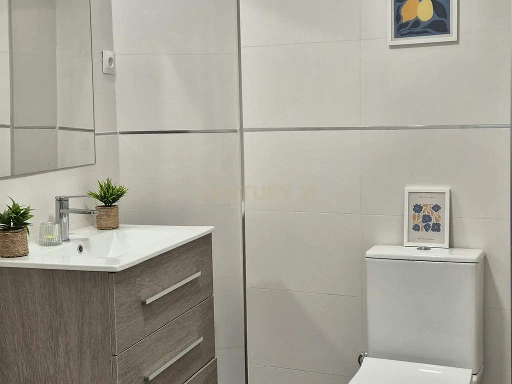 - Image 12