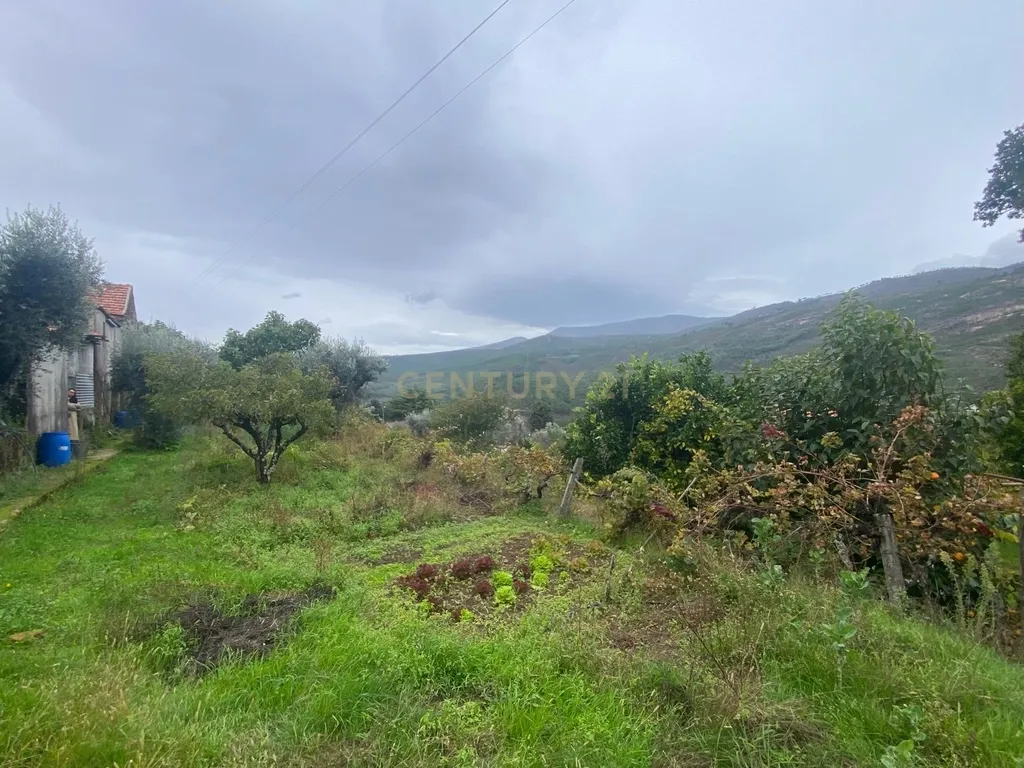 Terreno em Cortes do Meio - Covilhã - Image 8