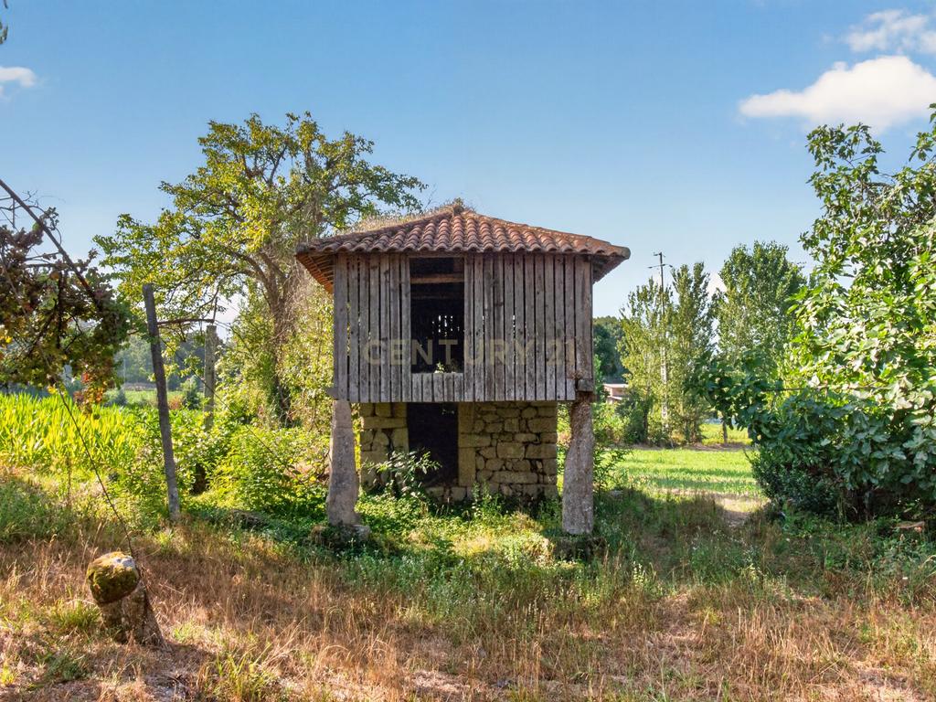 Quinta de Verim – 22.000 m² de história, natureza e potencial - Image 33