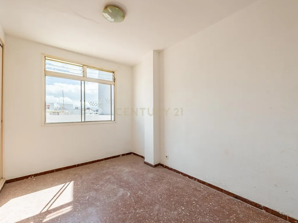 - Image 11