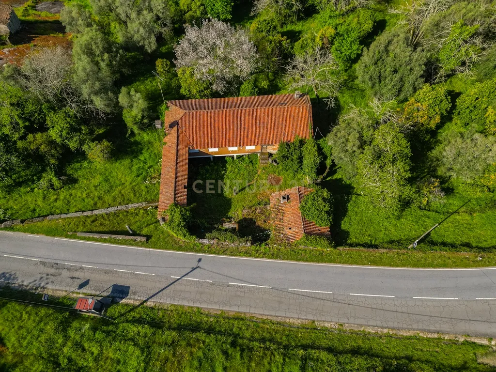 🌿 Quinta Rústica com 15.075 m² | Para Recuperar | Póvoa de Lanhoso, Braga - Image 25