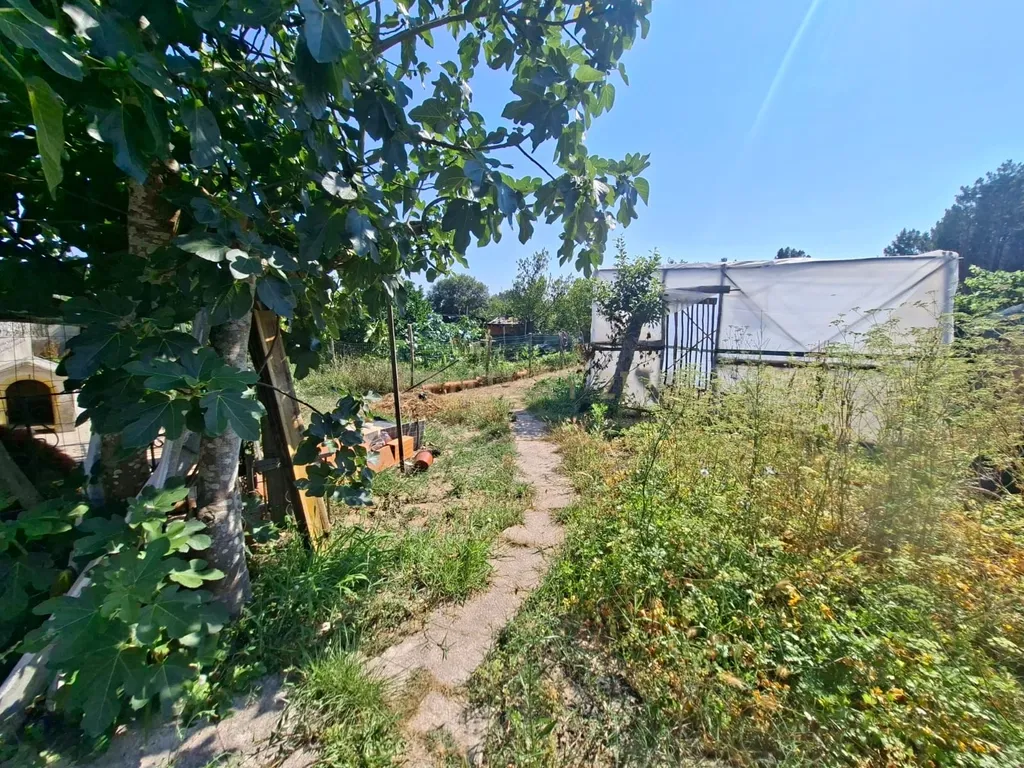 Casa T3 em Santo André de Vagos com Jardim - Image 8