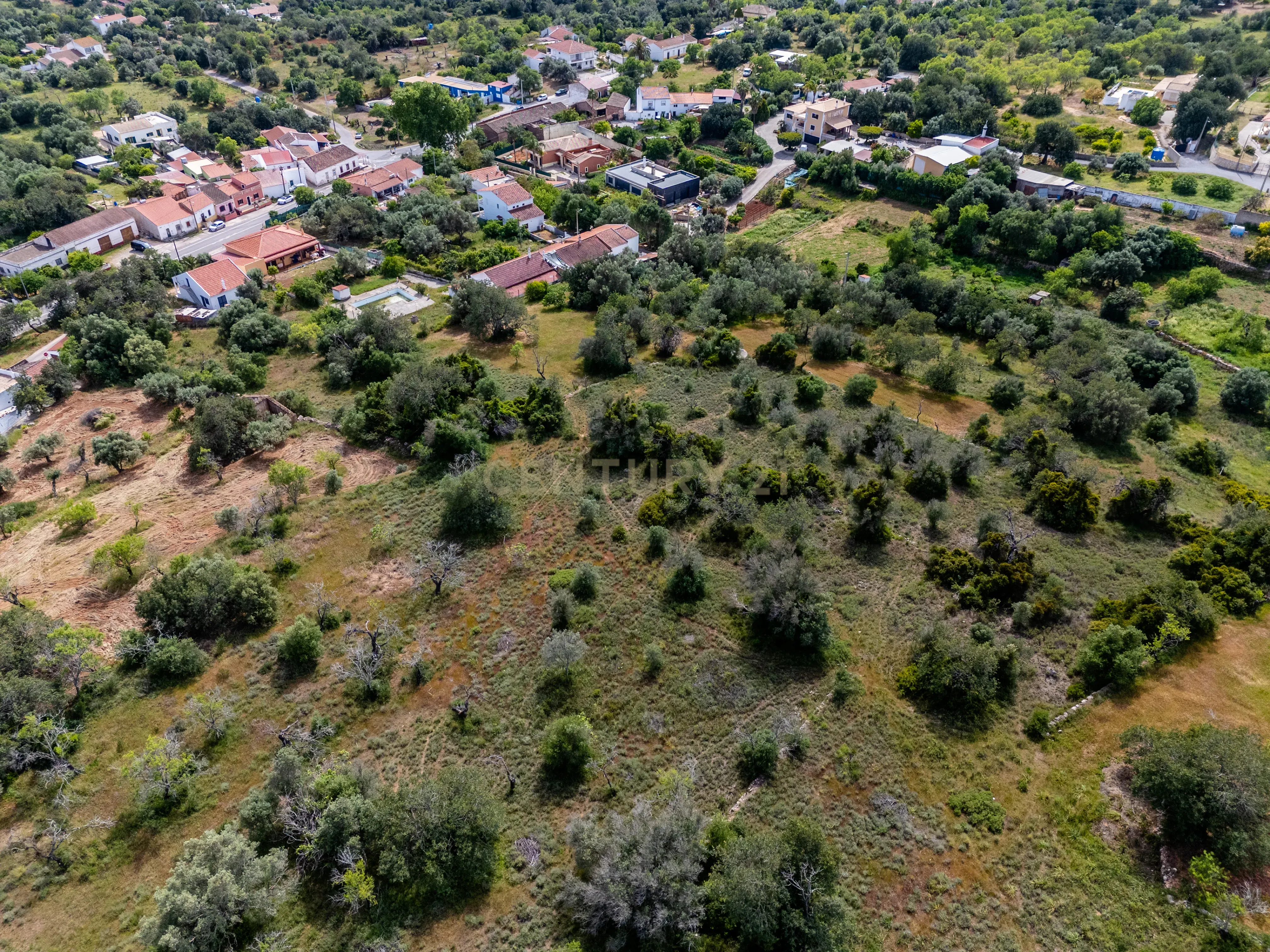 Fotografia 7 de Terreno com Potencial para 3 Moradias | 2.680 m² | São Bartolomeu de Messines | Silves