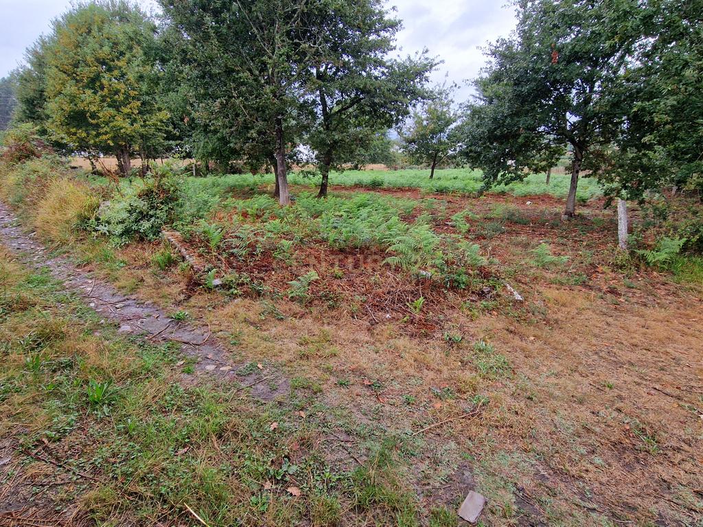 Terreno plano, com 2152m2, localizado a 5 minutos do centro de S. Pedro da Torre - Image 6