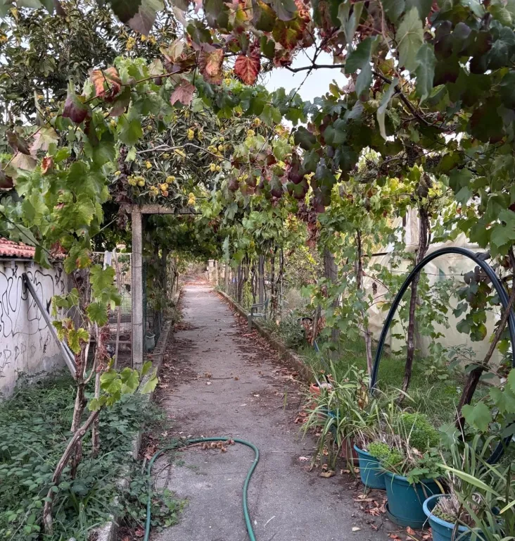 Moradia V5 com Grande Terreno Urbano junto à Estação de Livração – Marco de Canaveses - Image 11