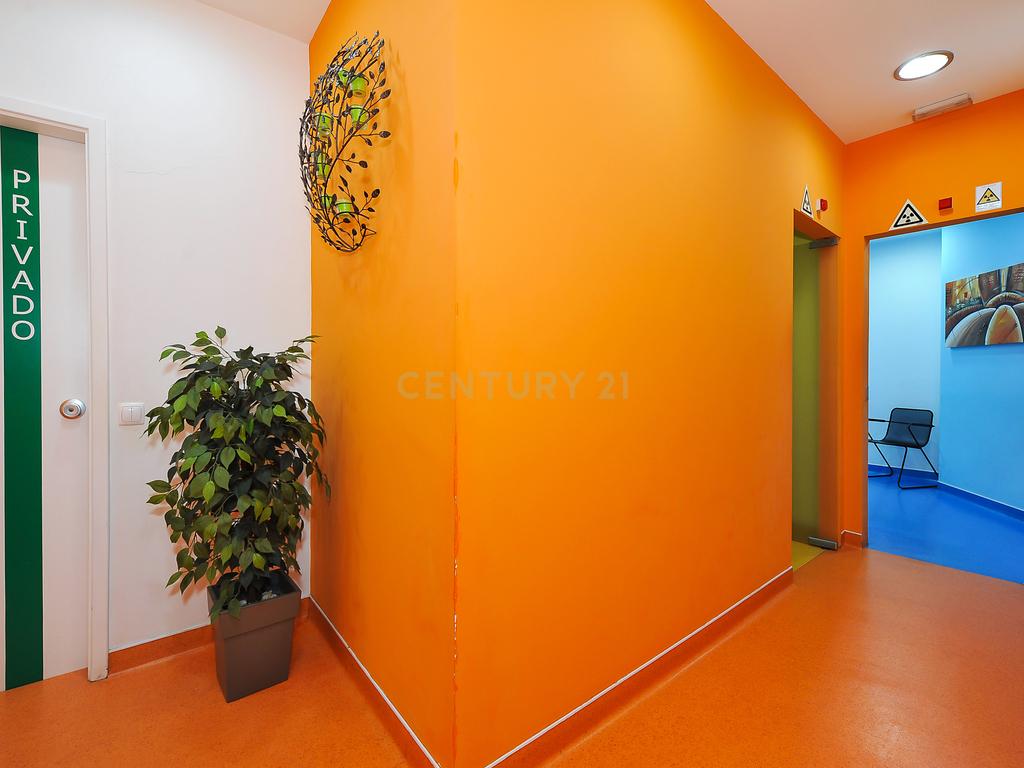 Clínica Dentária à Venda – Oportunidade Imperdível para Profissionais da Saúde! - Image 7