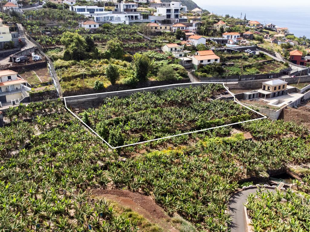 Terreno para construção 1946m2 - Arco da Calheta - Image 31