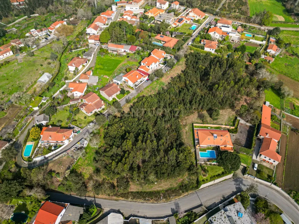 Terreno para Investimento – 10.000m² em Gemeses - Image 1