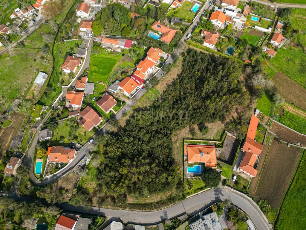 Terreno para Investimento – 10.000m² em Gemeses - Image 3