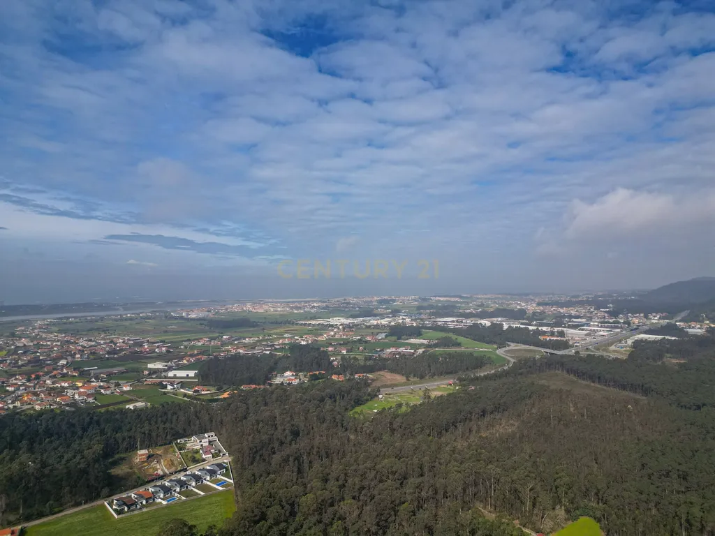 Terreno para Investimento – 10.000m² em Gemeses - Image 8