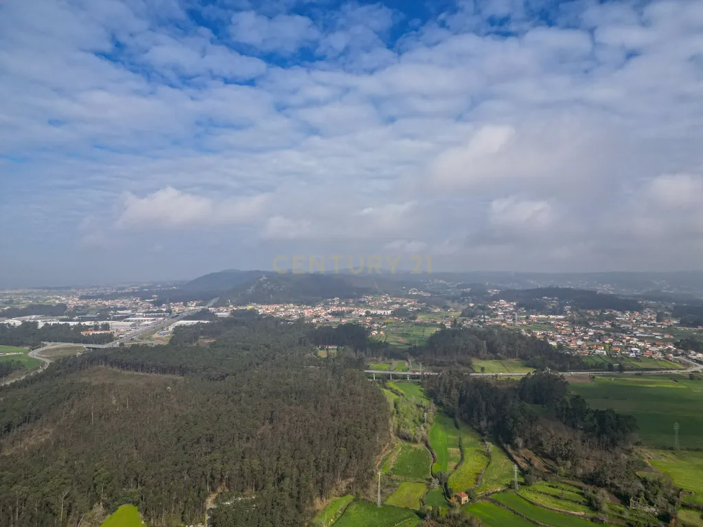 Terreno para Investimento – 10.000m² em Gemeses - Image 9