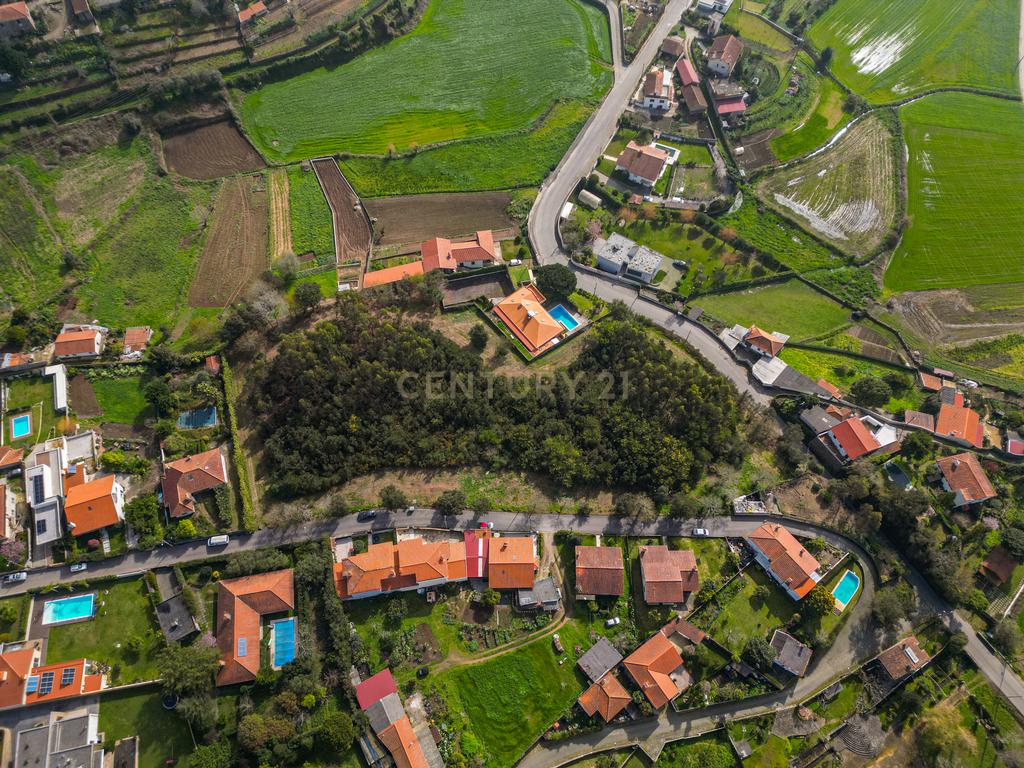 Terreno para Investimento – 10.000m² em Gemeses - Image 2