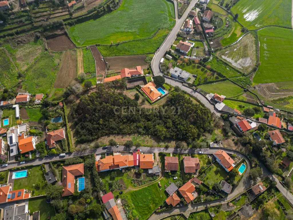 Terreno para Investimento – 10.000m² em Gemeses - Image 2