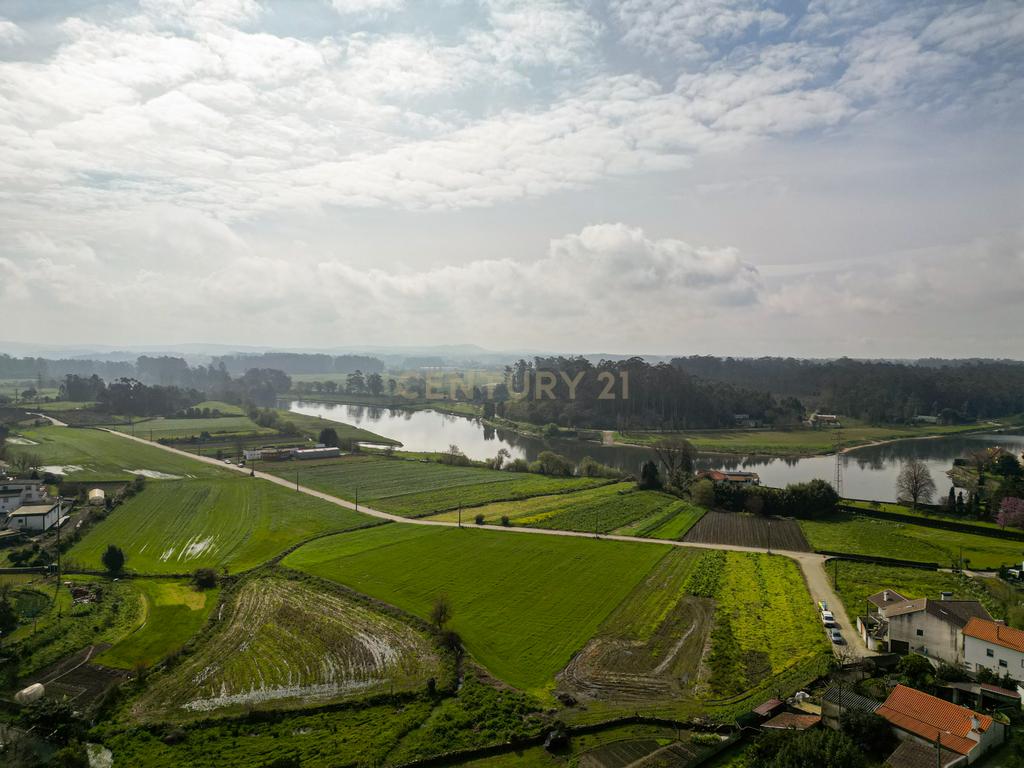 Terreno para Investimento – 10.000m² em Gemeses - Image 11