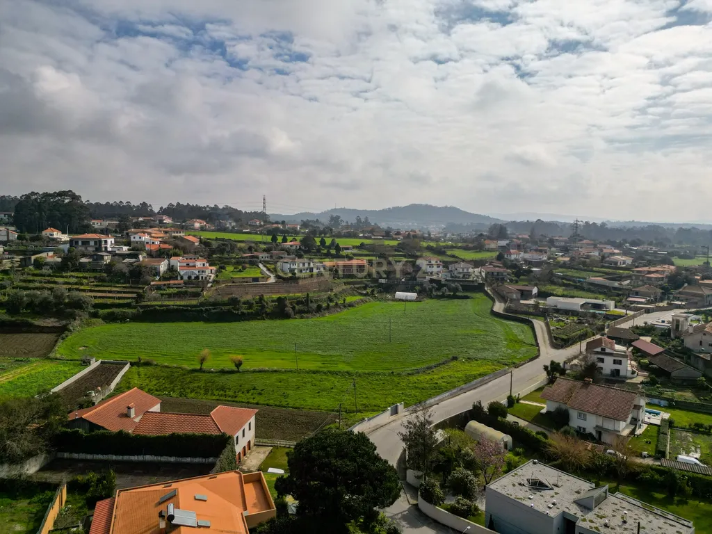 Terreno para Investimento – 10.000m² em Gemeses - Image 4