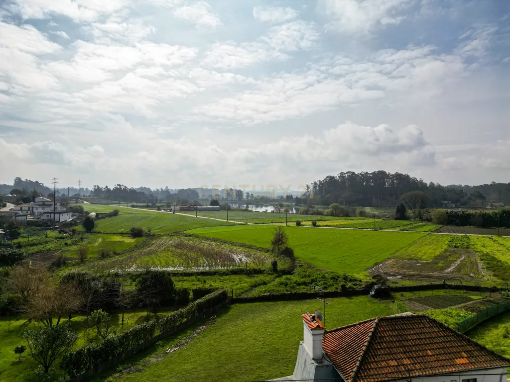 Terreno para Investimento – 10.000m² em Gemeses - Image 12