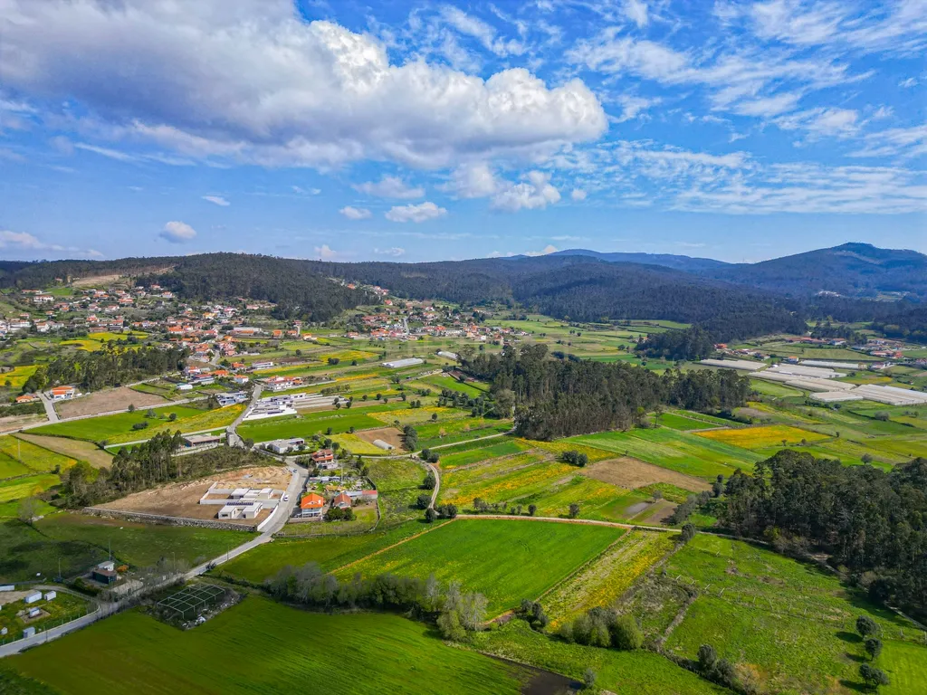 Terreno Agrícola plano, com 4.900m², em Curvos - Image 8