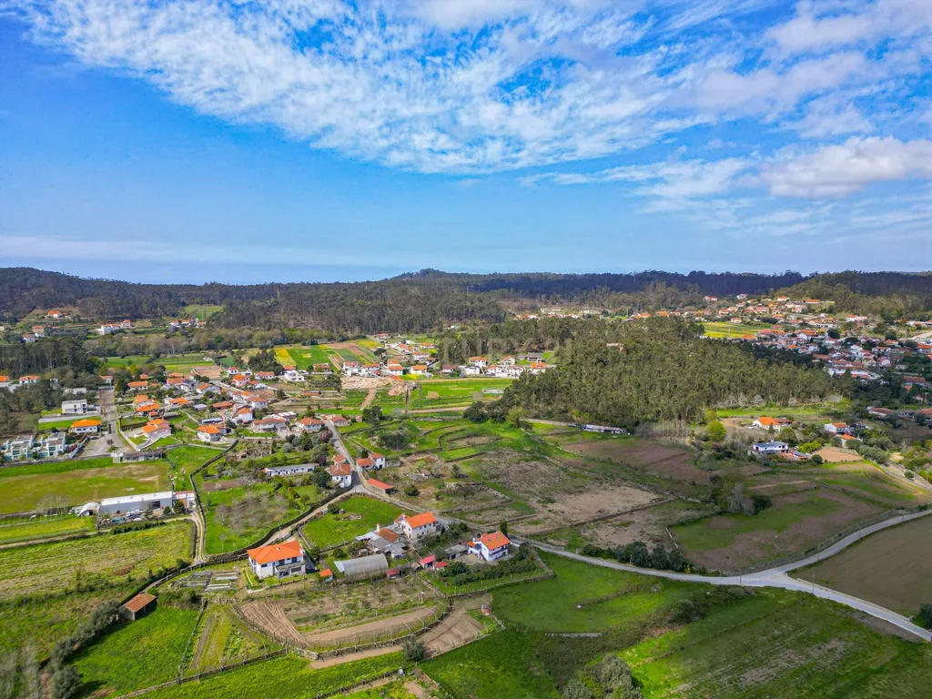 Terreno Agrícola plano, com 4.900m², em Curvos - Image 9