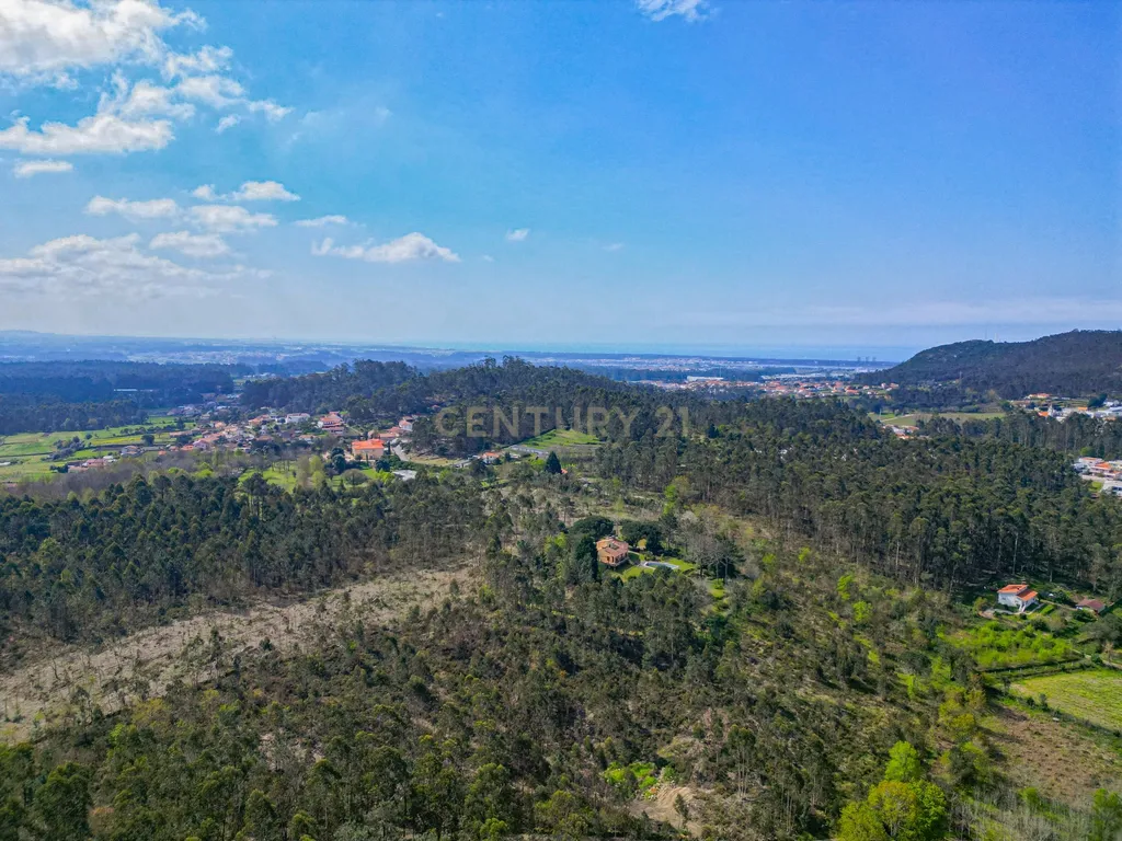Terreno Agrícola plano, com 4.900m², em Curvos - Image 10