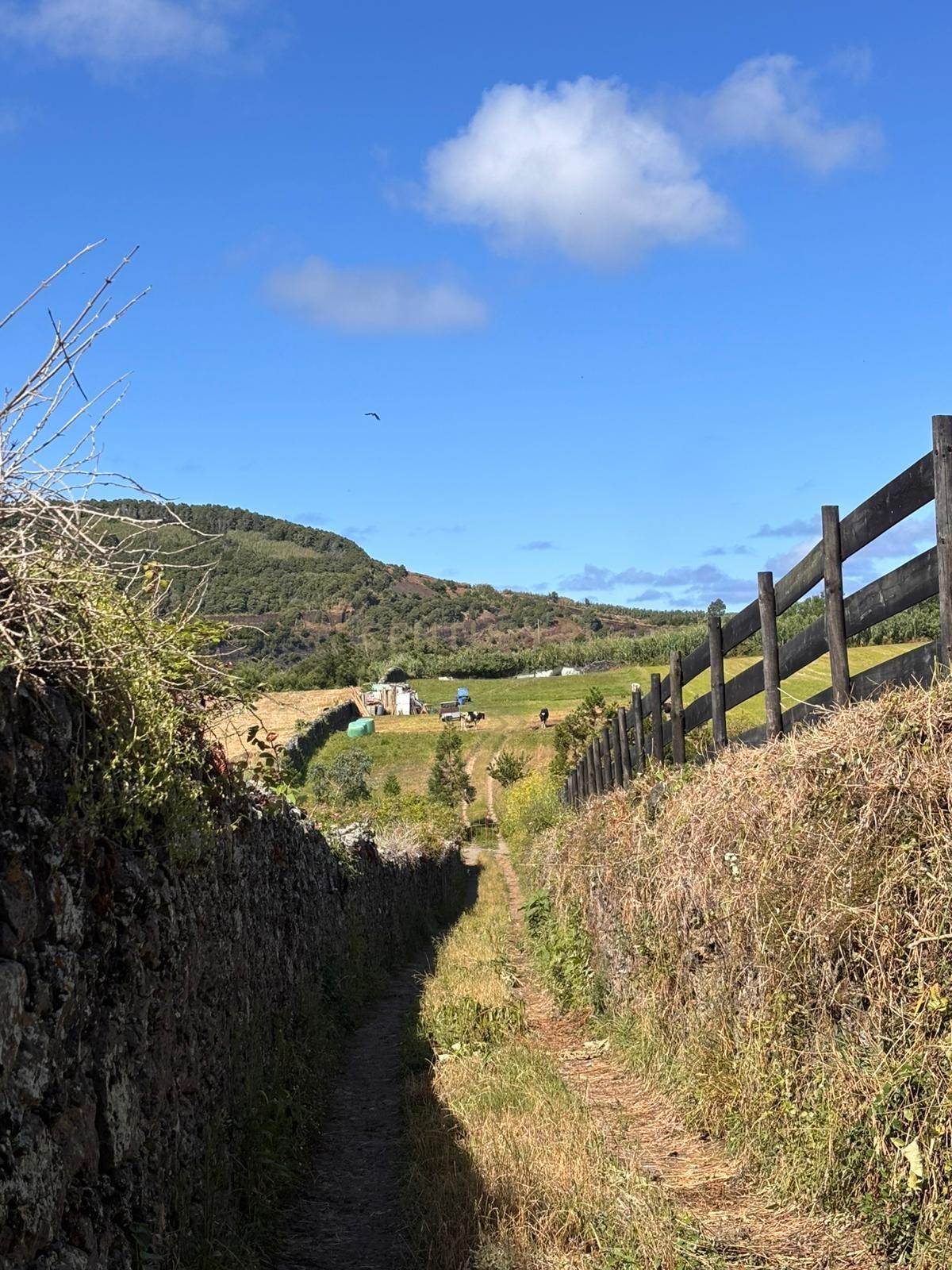 Fotografia 10 de Terreno Rústico com 15.580 m² em Ribeira Grande