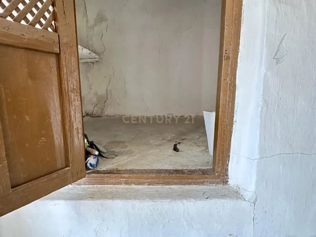 - Image 15