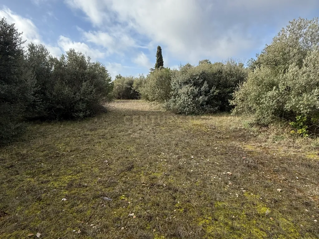 Terreno Urbano em Villar del Olmo, Madrid - 1464m² - Image 7