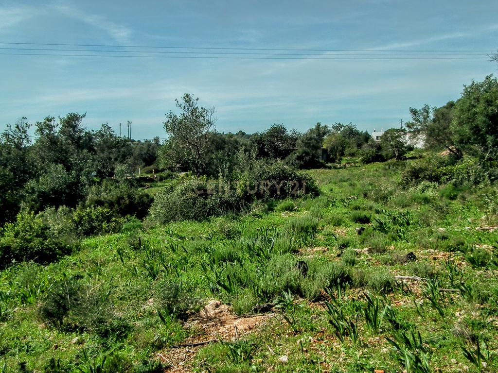 Terreno Rústico em Faro com Vista Panorâmica e Acesso Fácil - Image 23