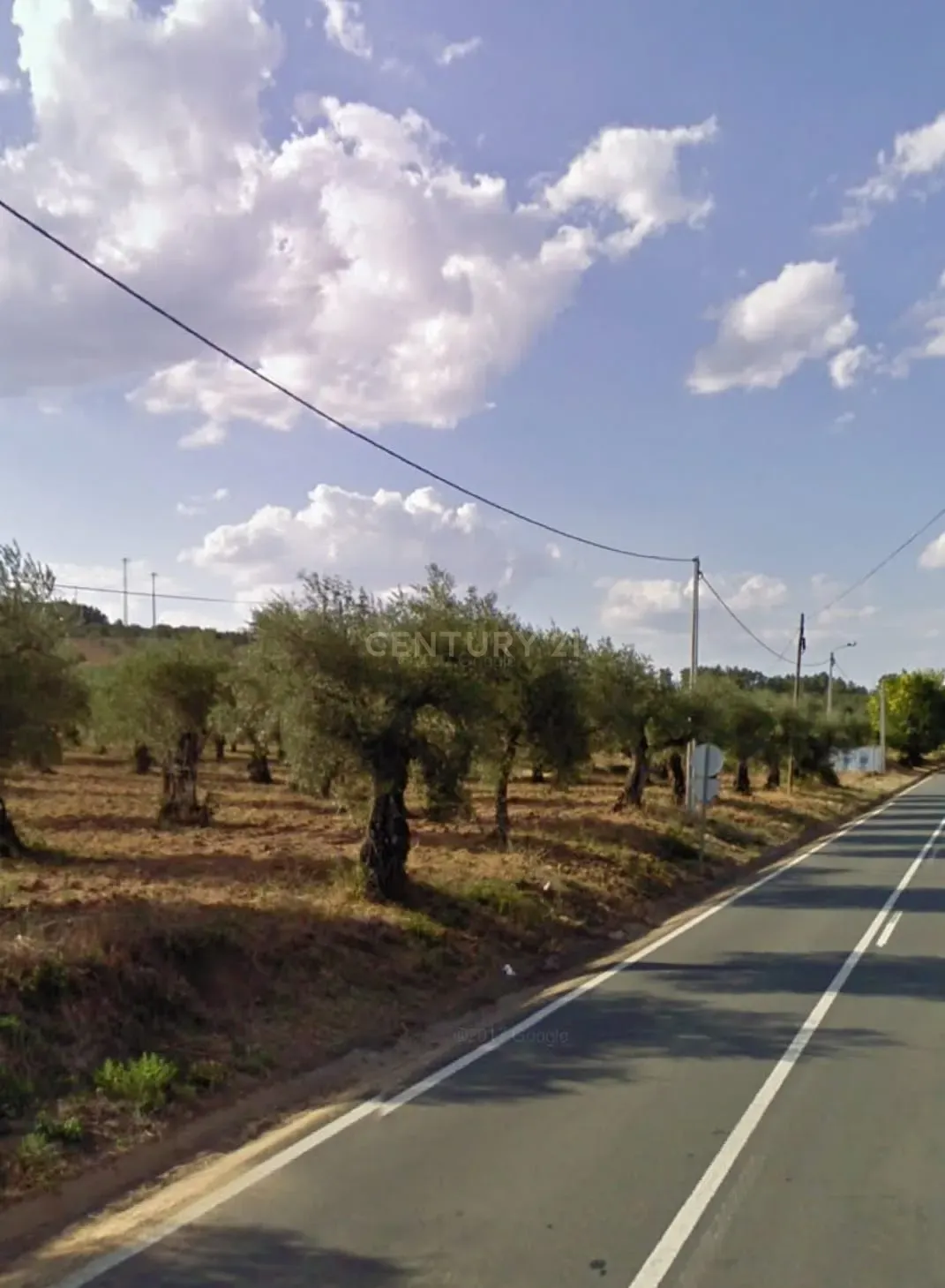 Terreno com olival - Peredo (Macedo de Cavaleiros) - Image 3
