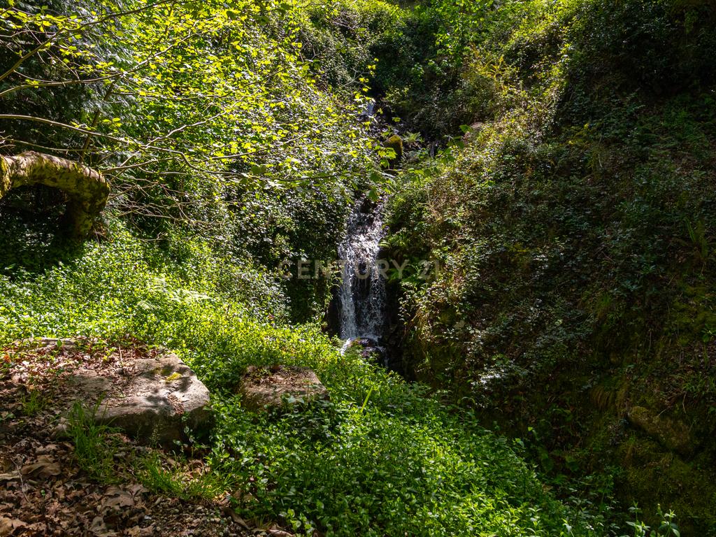 Um Refúgio no Gerês com 2 casas junto ao Rio  - Image 43
