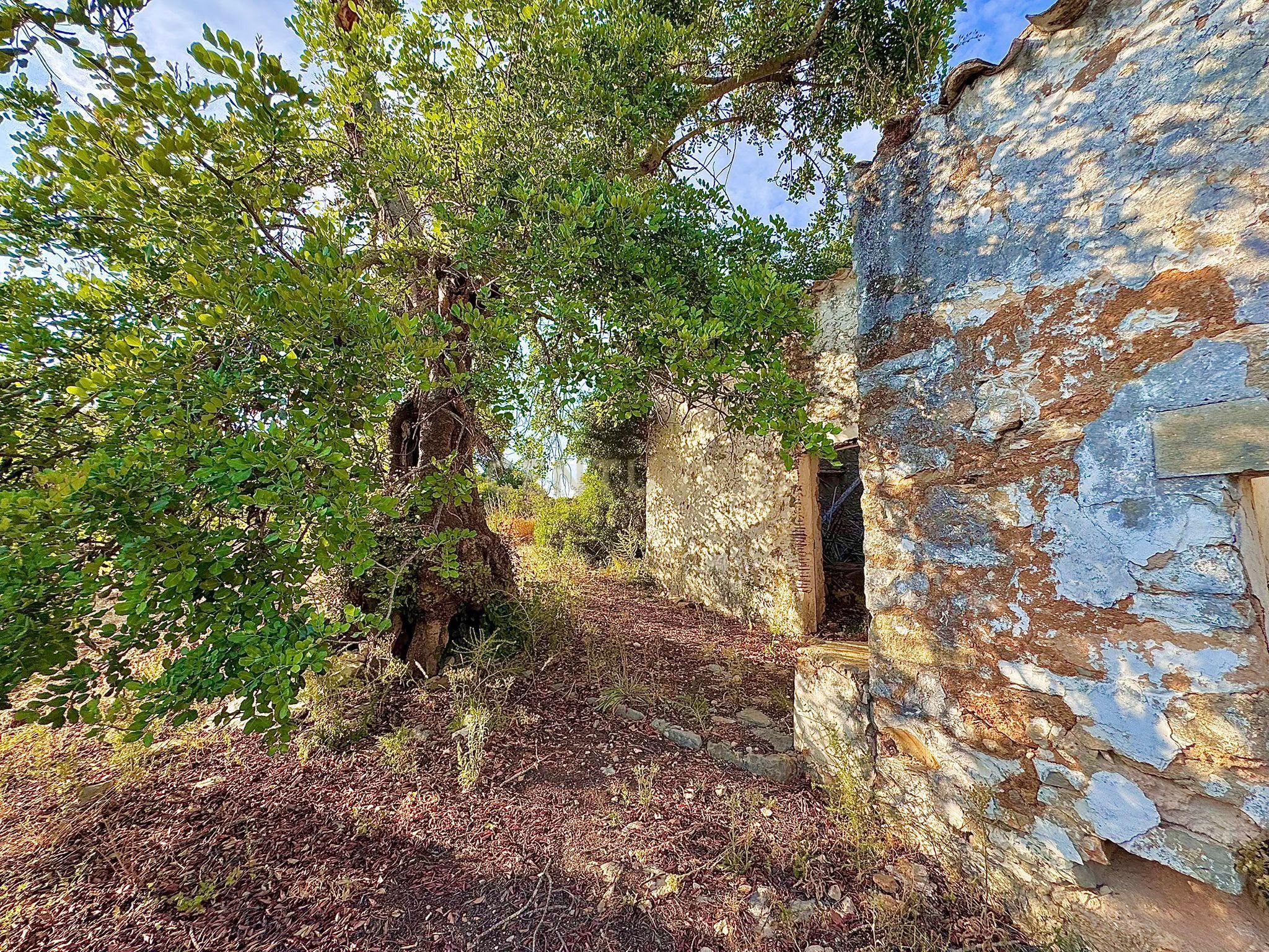 Fotografia 8 de TERRENO COM RUÍNA E VISTA PANORAMICA | SAMBADA A 15 MINUTOS DE FARO