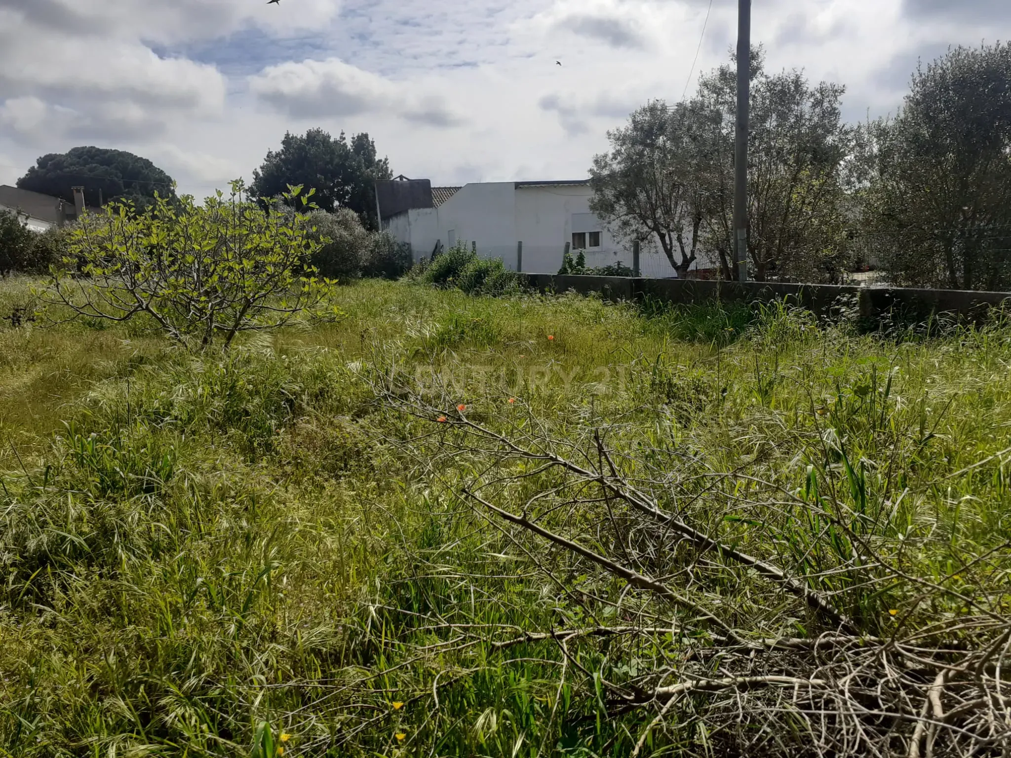 Terreno para Construção – Na Freguesia de Santo Isidro de Pegões | 629 m² - Vista 6