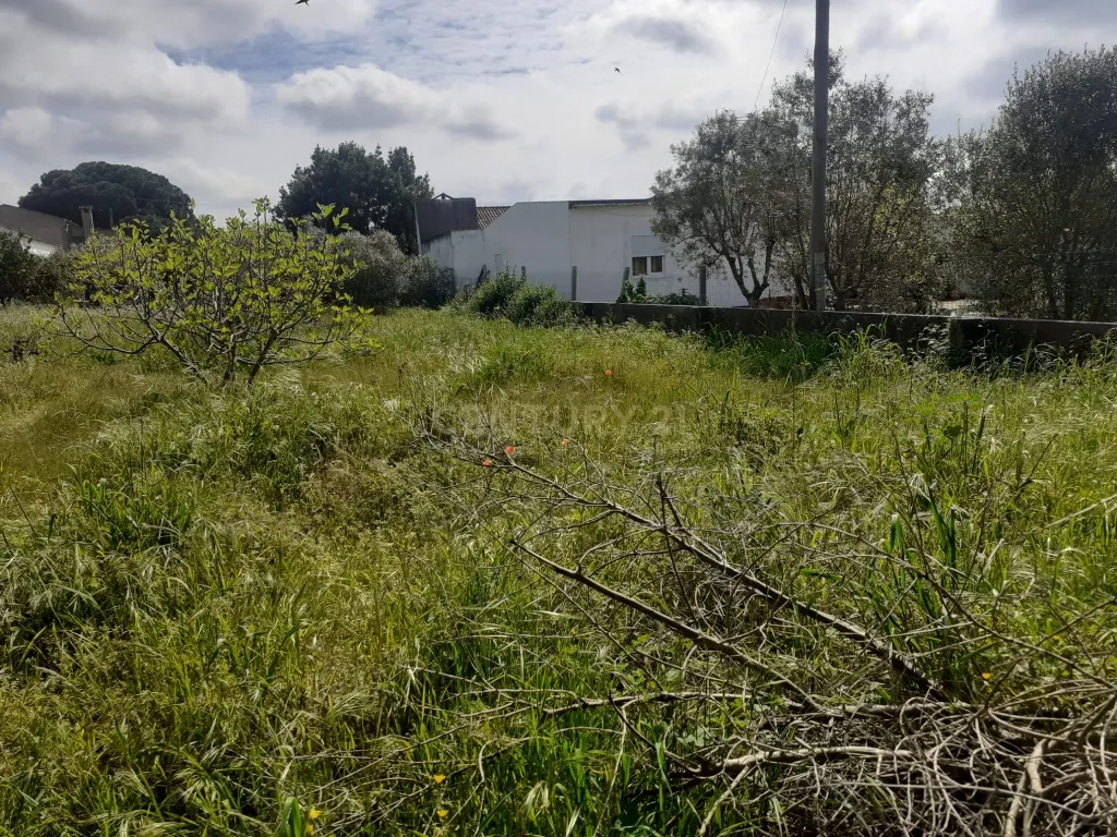 Terreno para Construção – Na Freguesia de Santo Isidro de Pegões | 629 m² - Image 6