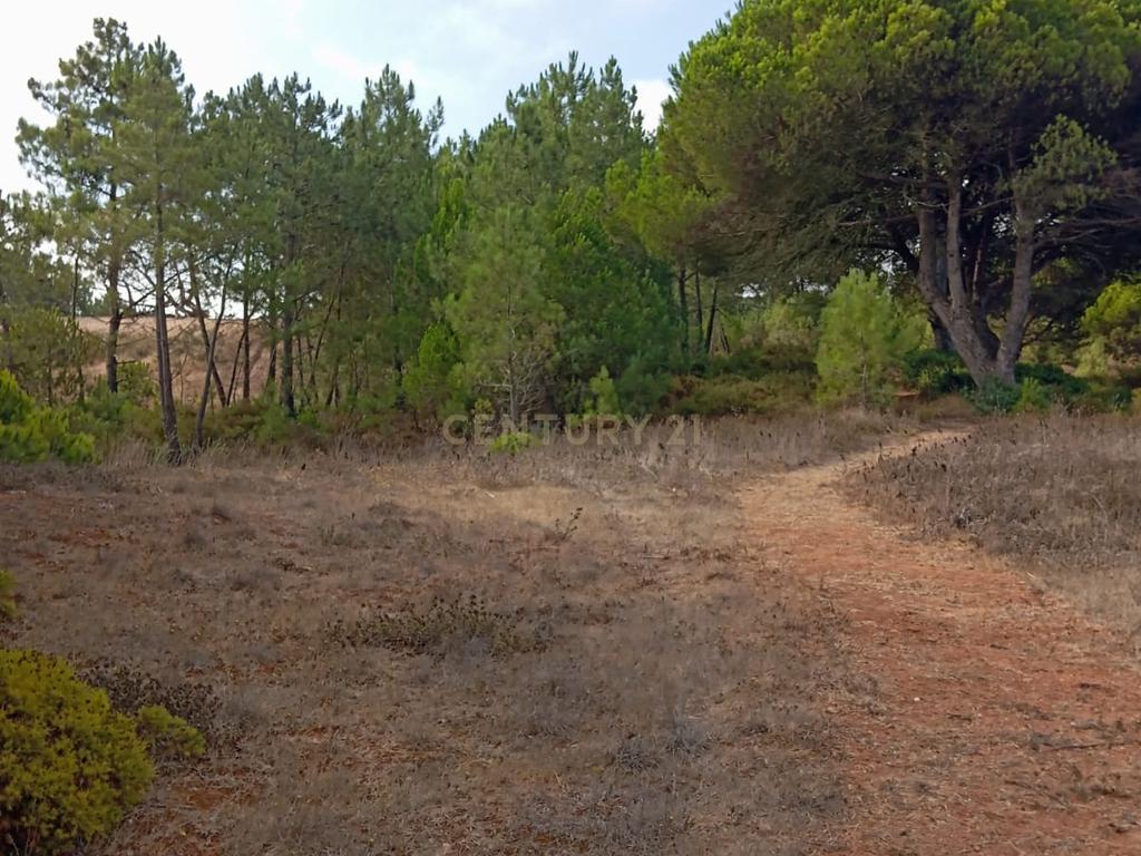 Terreno com área de 10.000m2 com projeto aprovado perto da Aldeia do Meco - Image 12