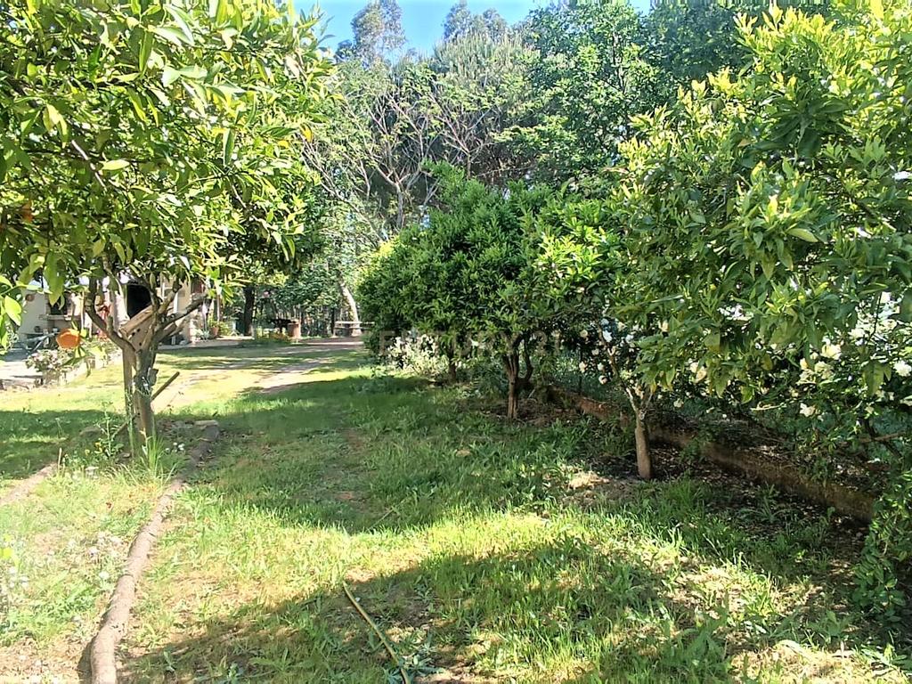 Grande moradia térrea, em Santo Tirso com área de lazer, anexo, jardim e terreno agrícola, Porto - Image 52