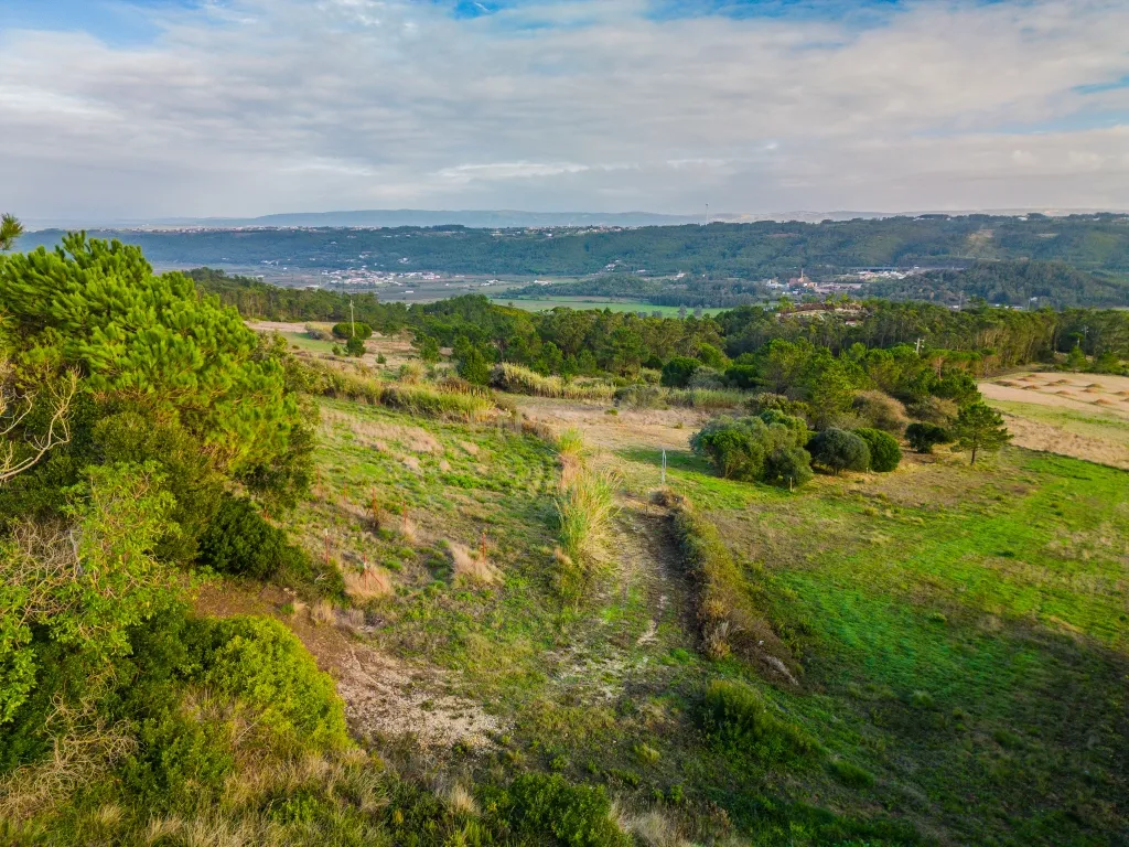 Terreno na Nazaré - Image 16