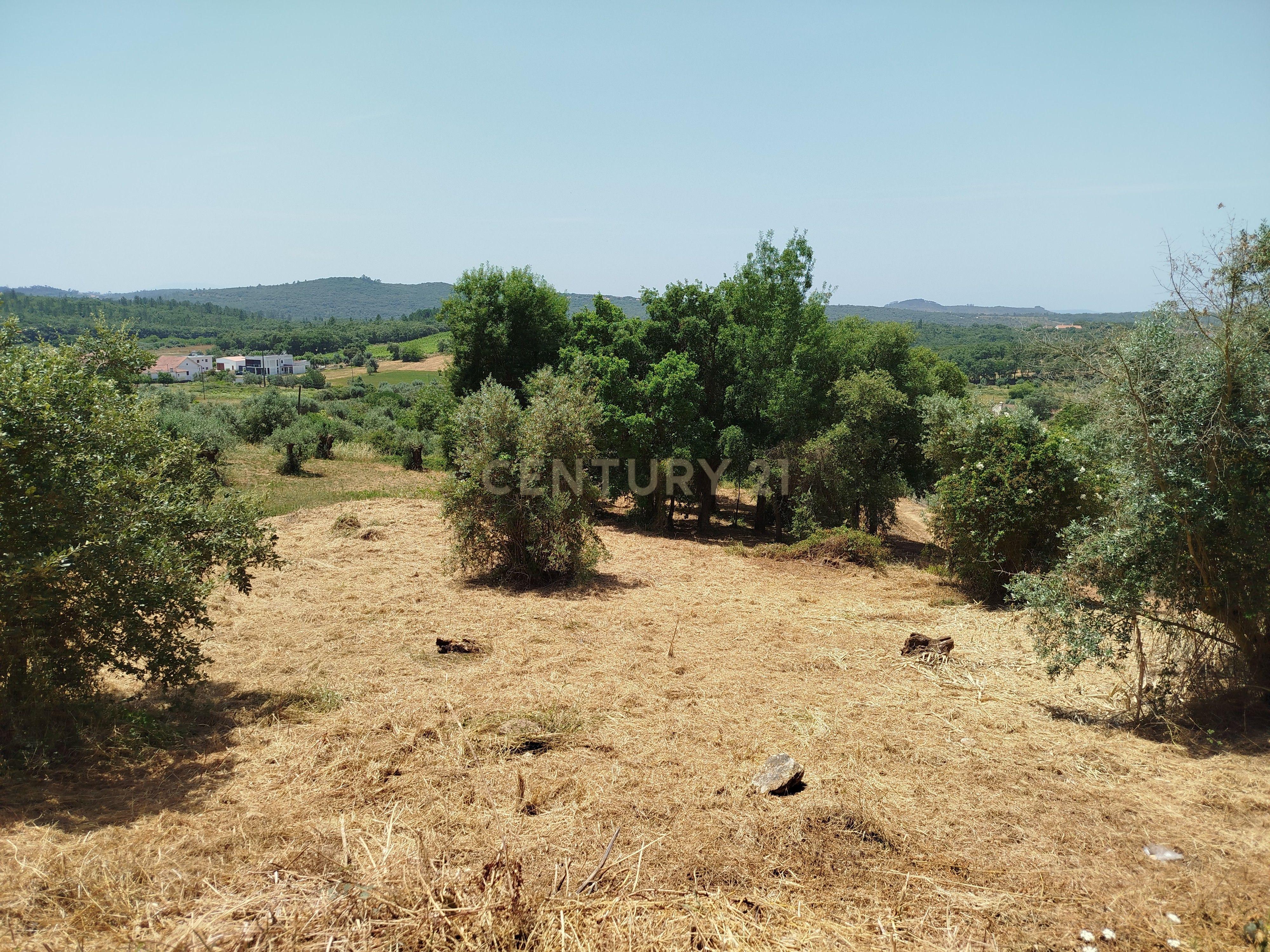 Fotografia 6 de Terreno para Construção em Areias e Pias, Ferreira do Zêzere