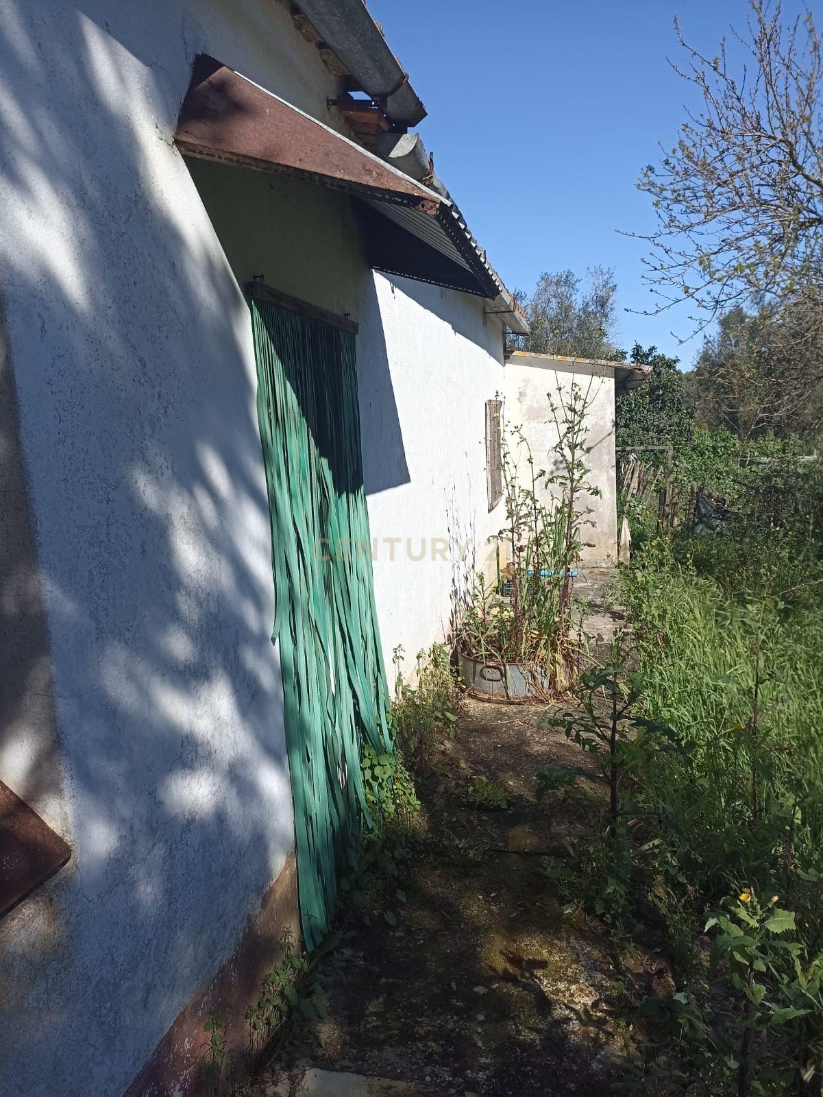 # Terreno Rustico em pleno centro de Montemor -o -Novo - Image 7