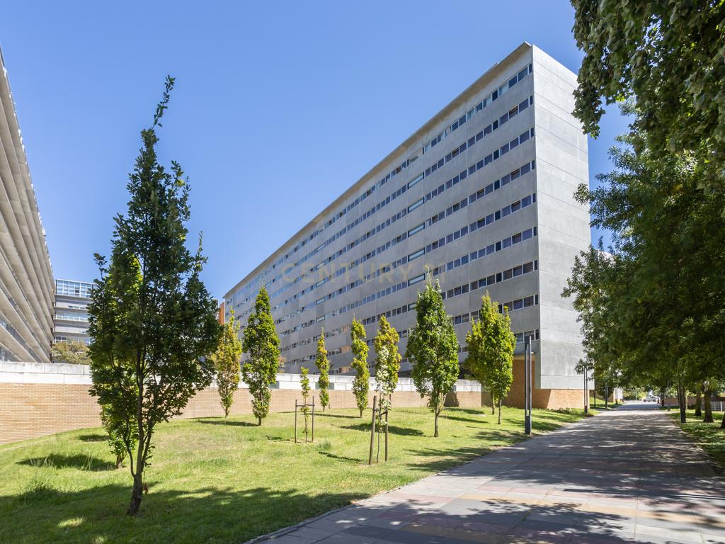 Viva com Tranquilidade em Lisboa a 150m do Parque Oeste – T1 Lumiar com Parqueamento e Arrecadação  - Image 1