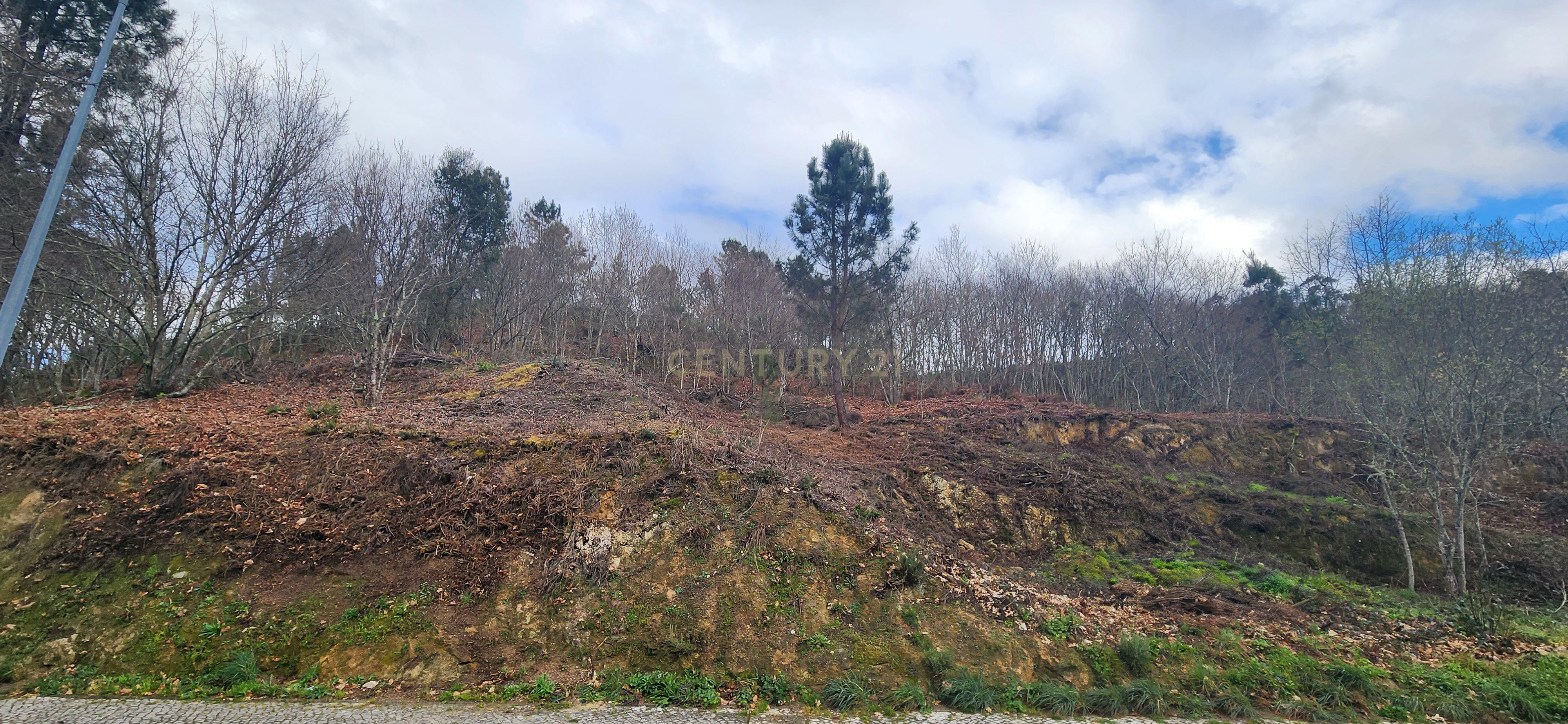 Terreno Urbano em São Pedro do Sul - Image 7