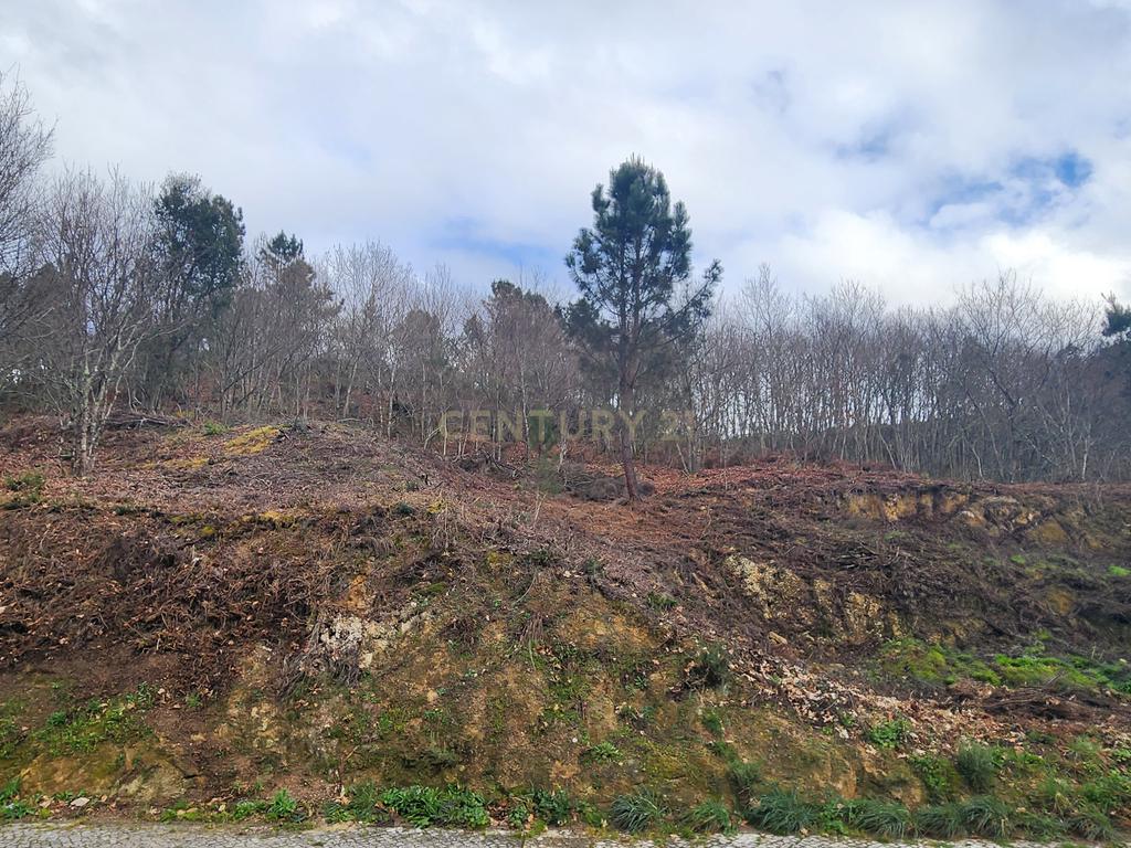 Terreno Urbano em São Pedro do Sul - Image 7