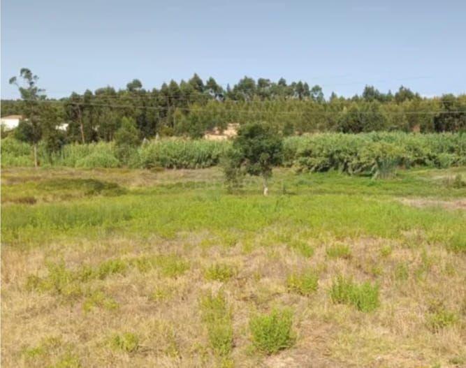 Fotografia 4 de Terreno de 4.520 m2 em Monte Redondo -Torres Vedras